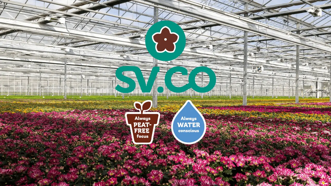 Ornamental plant production and packing process